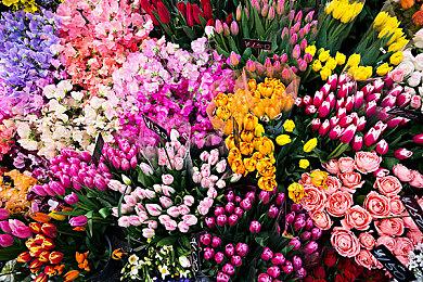 要亮家底了？传Xbox发布会将展示40款游戏